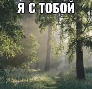 😈 2d133349 Я С ТОБОЙ natuur, bomen, bos, pad, landschap telegram sticker