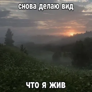 😋 4e79fe6f снова делаю вид что я жив natuur, landschap, lucht, zonsondergang telegram sticker