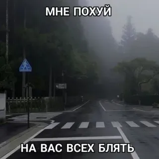 🖕 5a528198 МНЕ ПОХУЙ
НА ВАС ВСЕХ БЛЯТЬ weg, mist, aanstootgevend, straat, Russische tekst telegram sticker