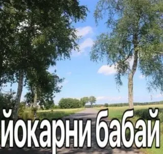 😳 5ce366d8 йокарный бабай natuur, landschap, weg, bomen, Russische uitdrukking telegram sticker