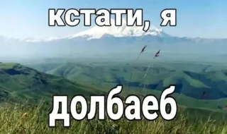 🧟‍♀️ 6510b660 кстати, я долбаеб Meme, Russisch, Aanstootgevend, Landschap telegram sticker