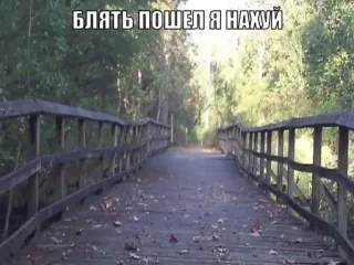 🫠 67b19273 БЛЯТЬ ПОШЕЛ Я НАХУЙ russisch, scheldwoorden, beledigend, bos, brug telegram sticker