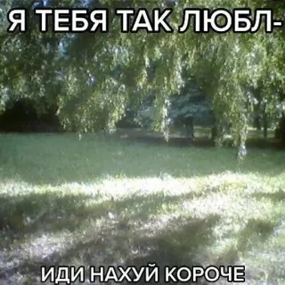 🖕 6dda6f2e Я ТЕБЯ ТАК ЛЮБЛ-
ИДИ НАХУЙ КОРОЧЕ russisch, tekst, aanstootgevend, liefde, natuur telegram sticker