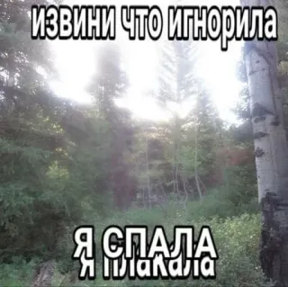 😢 6dfca0df ИЗВИНИ ЧТО ИГНОРИЛА Я СПАЛА И ПЛАКАЛА bos, natuur, excuus, verdrietig, slapen, huilen telegram sticker