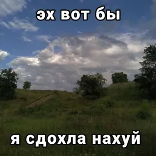 🥰 794eafe0 эх вот бы
я сдохла нахуй Russisch, Meme, Landschap, Natuur telegram sticker