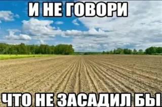😏 87e65e19 И НЕ ГОВОРИ
ЧТО НЕ ЗАСАДИЛ БЫ veld, wolken, landbouw, humor telegram sticker