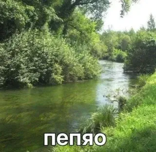 😊 91a147ea пепяо rivier, natuur, water, bomen, landschap, Russisch telegram sticker