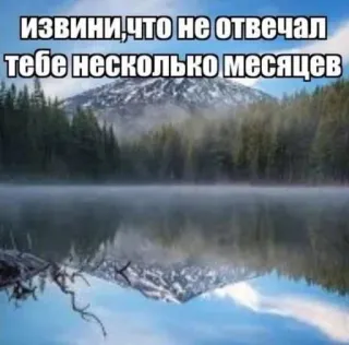 🌟 9dc3b933 ИЗВИНИ, ЧТО НЕ ОТВЕЧАЛ ТЕБЕ НЕСКОЛЬКО МЕСЯЦЕВ meer, bergen, bos, excuus, maanden, natuur, reflectie telegram sticker