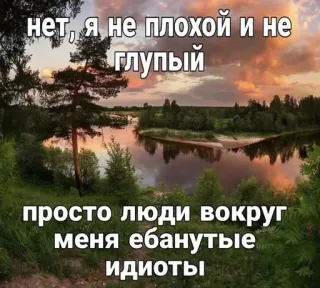 🙂 aaa8da28 нет, я не плохой и не глупый 
просто люди вокруг меня ебанутые идиоты landschap, russisch, tekst, idioten telegram sticker