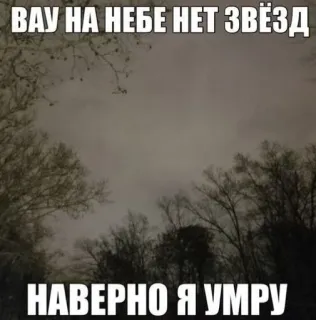 🤩 b8d6574b ВАУ НА НЕБЕ НЕТ ЗВЁЗД
НАВЕРНО Я УМРУ lucht, wolken, bomen, sterren, donker, somber, nacht telegram sticker