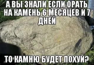 🧐 bde03db3 А ВЫ ЗНАЛИ ЕСЛИ ОРАТЬ
НА КАМЕНЬ 6 МЕСЯЦЕВ И 7
ДНЕЙ
ТО КАМНЮ БУДЕТ ПОХУЙР Steen, Meme, Grappig, Rots telegram sticker