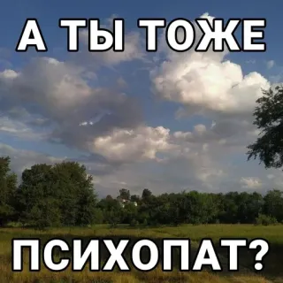 ❓ c95ca054 А ТЫ ТОЖЕ ПСИХОПАТ? Meme, Psychopaat, Wolken, Landschap, Vraag telegram sticker