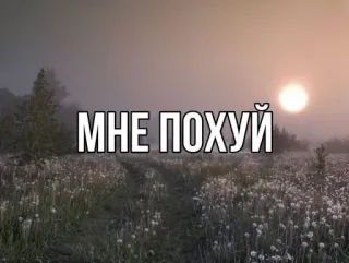 🖕 ca8d3cef МНЕ ПОХУЙ landschap, natuur, Russische tekst, zonsondergang, veld, bomen, buiten telegram sticker