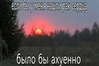 🦞 e8763d91 если бы у меня нашли рак сердца
было бы ахуенно russisch, zonsondergang, kanker, zwarte humor, tekst telegram sticker