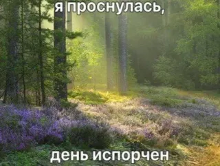 🚬 ffda0672 Я проснулась, день испорчен bos, natuur, bloemen, landschap, droom, citaat, Russisch telegram sticker