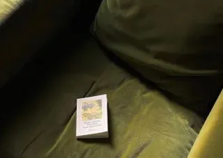 Больше стиков тут: @stikery4 telegram stickers