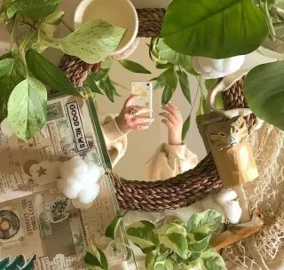 ☁️ 9bd0c50a GOOD NEWS mirror, plants, leaves, decoration, news, hand, reflection telegram sticker