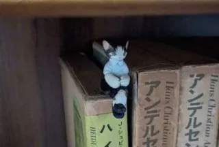 🌿 c3672467 telegram sticker