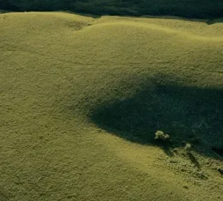 🍀 cbe8952d grass, field, green, nature, landscape telegram sticker