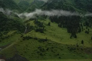 🍀 e82b5f77 landscape, nature, mountains, forest, green, scenery, outdoors telegram sticker