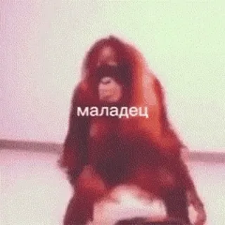 👏 d266b873 маладец Orang-Utan, Affe, Tier, Primat, Glückwunsch telegram sticker