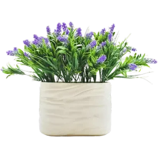 🪴 0861e9ab лаванда, растение, цветок, растение в горшке, декор для дома, украшение стола whatsapp sticker