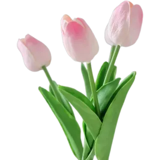 💐 24e7333a тюльпаны, цветы, розовый, цветочный, весна, букет, природа whatsapp sticker