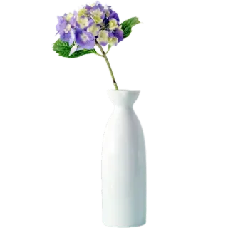 🪴 551e92d5 цветок, ваза, гортензия, растение, цветочный, декор для дома, белая ваза whatsapp sticker