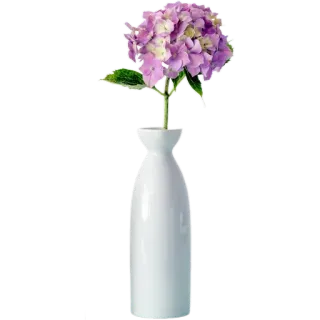 🪴 600d332f цветок, гортензия, ваза, белая ваза, фиолетовый цветок, цветочный, растение whatsapp sticker