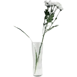 🌾 6122daee цветы, ваза, цветочный, растение, белые цветы, композиция, стеклянная ваза whatsapp sticker