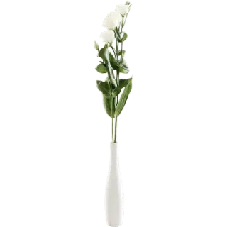 🌾 91df1c88 цветок, ваза, белый, растение, цветочная композиция, домашний декор whatsapp sticker