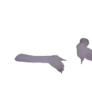 🤩 120baf05 telegram sticker