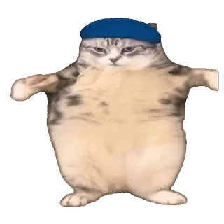 🤩 7d154e77 кот, Т-поза, смешной, животное, мем telegram sticker