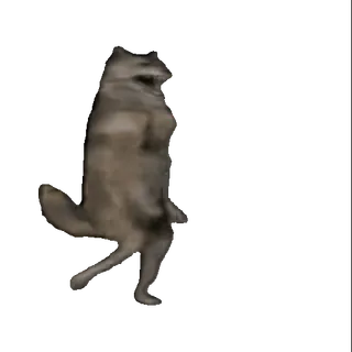 🤩 8c18023c енот, танцы, животное, смешной, мем, питомец, млекопитающее telegram sticker