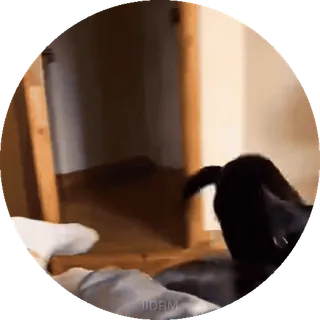 😡 84e992d5 telegram sticker