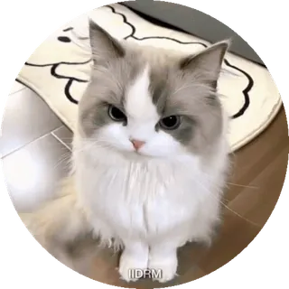 Больше стиков тут: @stikery4 telegram stickers