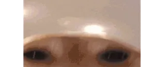 😐 11a53b44 猫, 动物, 眼睛, 宠物, 可爱, 猫科 telegram sticker