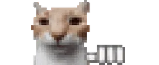 ⏰ 961c542a 猫, 表情包, 冒犯手势, 中指, 幽默 telegram sticker