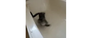 🤪 a8e4c0c2 telegram sticker