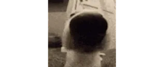 👃 bdaff900 telegram sticker