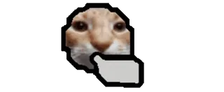 🤔 be351719 猫, 中指, 冒犯, 动物, 表情包 telegram sticker