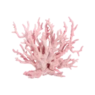 🌟 11d42997 coral, mar, oceano, natureza, rosa, subaquático, vida marinha telegram sticker