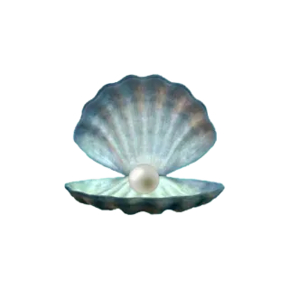 🌟 22ebbcf3 pérola, concha, oceano, mar, natureza, joia, tesouro, ameijoa telegram sticker