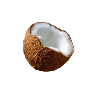 🌟 b19c2cd8 coco, fruta tropical, fruta, comida, polpa branca, casca marrom telegram sticker