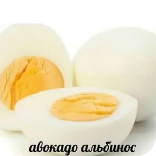 🍲 0ce436bc авокадо альбинос egg, avocado, albinos, food, funny telegram sticker