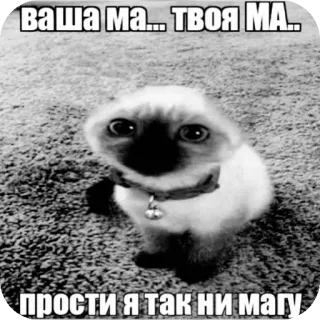 🐶 179e2ad5 ВАША МА... ТВОЯ МА..
ПРОСТИ Я так ни магу cat, meme, funny, animal, pet telegram sticker