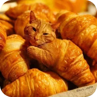 Больше стиков тут: @stikery4 whatsapp stickers