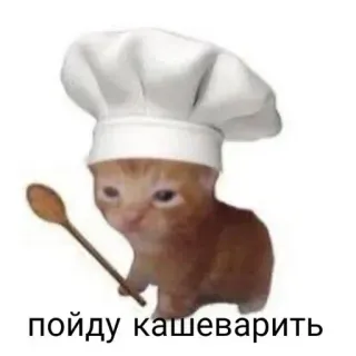 🤲 b9b48e7e пойду кашеварить cat, chef, cooking, kitchen, animal telegram sticker