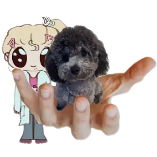 🐶 0d69977d perro, dibujo animado, mano, mascota, caniche, lindo telegram sticker