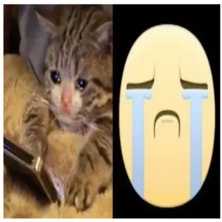 😭 14898317 kucing, menangis, Emoji, sedih, Meme telegram sticker